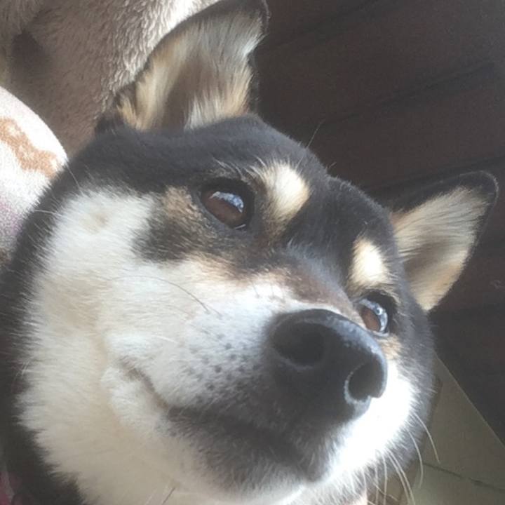 1efce422 2d93 4899 8394 59292de21869 1616850954248