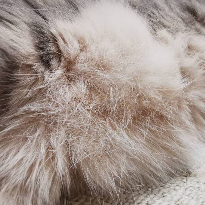 1efcf4a7 4c83 458d 91a9 239d90ced6dc 1690608595136