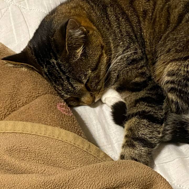 1efd0269 938b 46a0 96a9 a2d7de7ed1f5 1618507174109