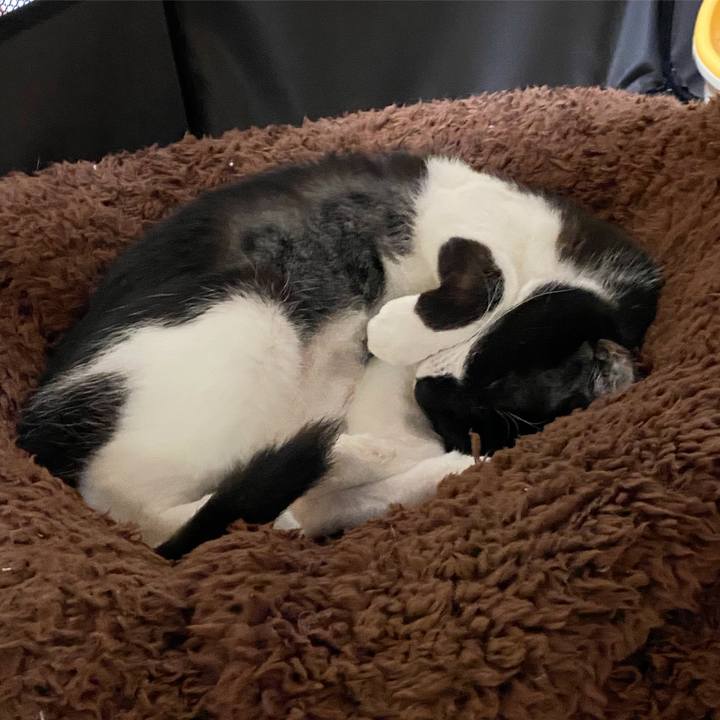 1efd8abb 5263 4298 b36c 8ee9c27908ef 1600855335268