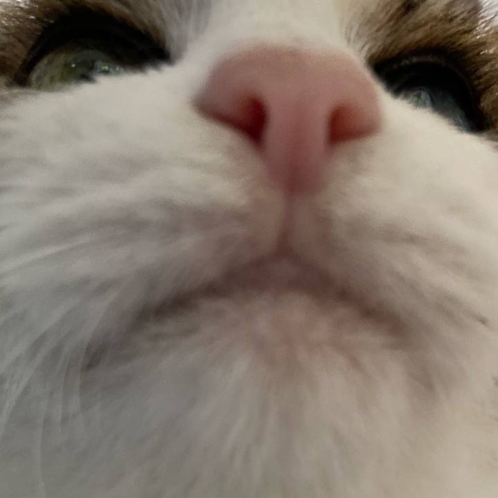 1efd98ac 4475 42a4 89fd 22143c823088 1595166414354