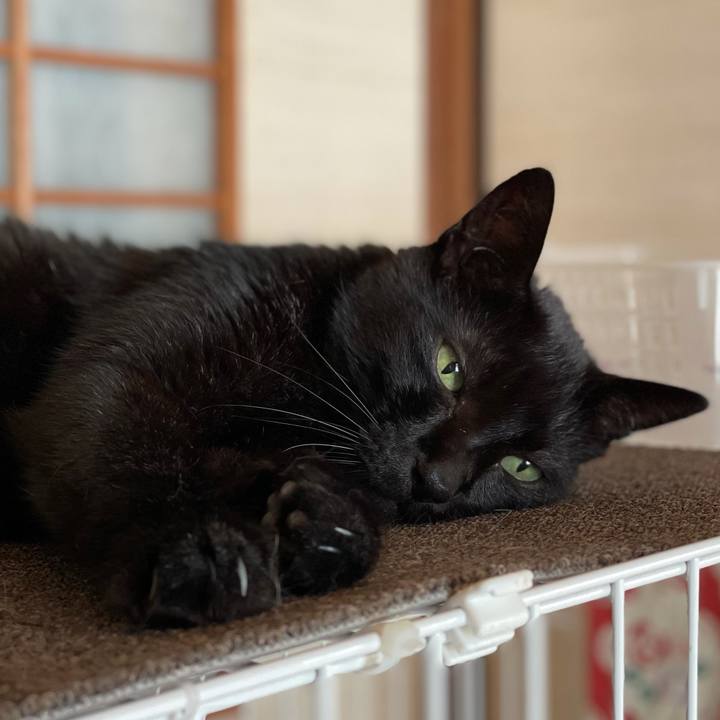 1efdbd65 b901 4830 b1b7 d9ce8d3b413e 1626832258260