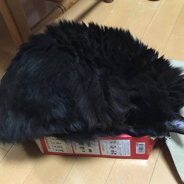 1efdc443 7d89 414d beb6 5d45e33f59fc 1546521137491