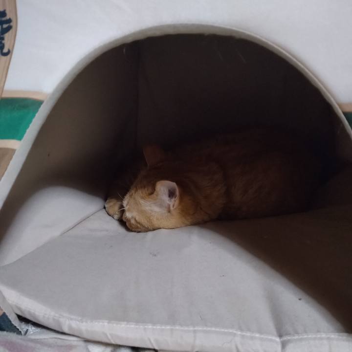 1efdd7cf 64f5 468f b974 99cdaef62519 1681390018032