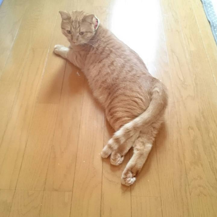 1efdd8b5 5f9e 4a31 b8ee 331916a3d1c7 1567966072220