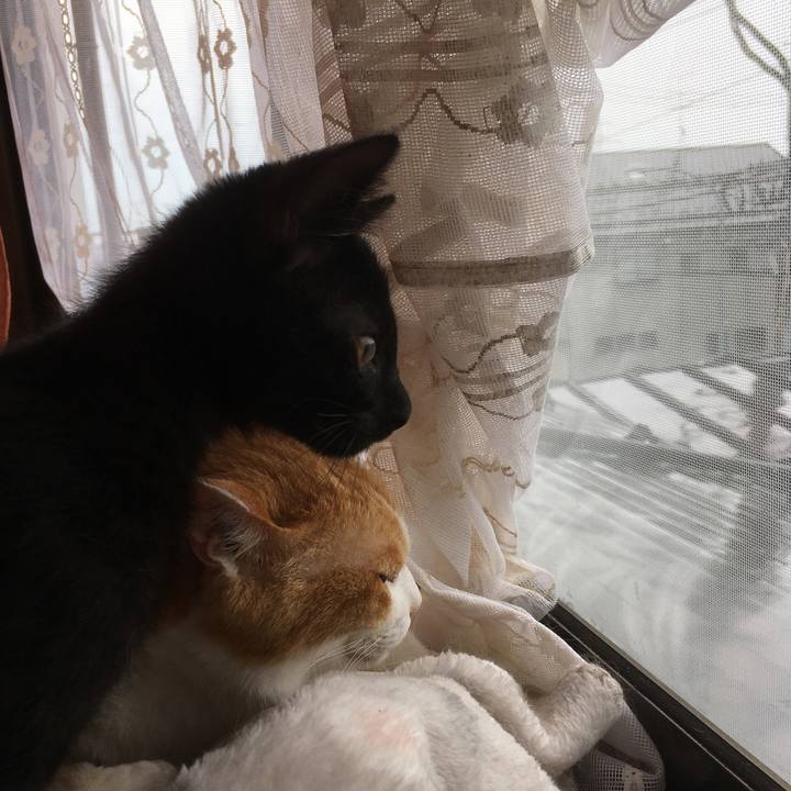 1efdda35 64c3 4514 b493 f89eb551a7ef 1627880409081