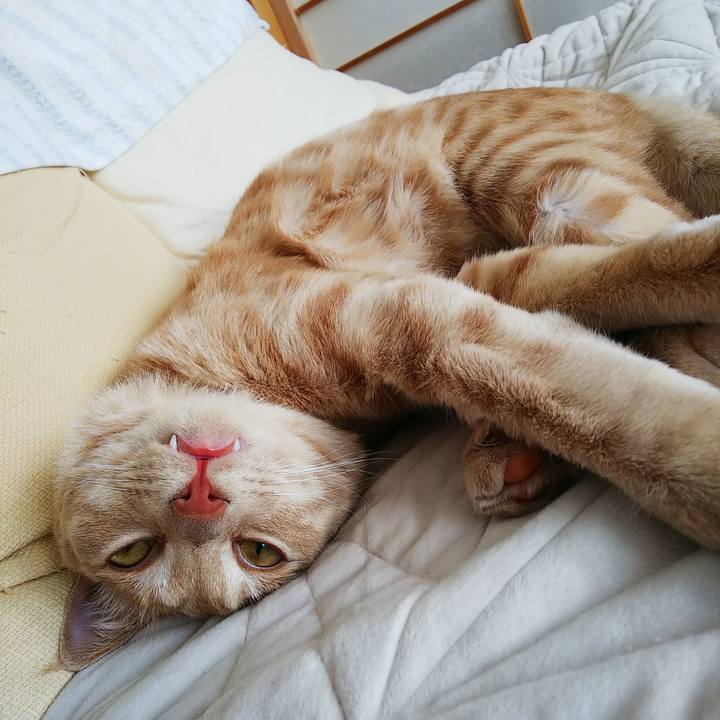 1efde88a d2b7 476a bfde f6d8d9efa0bc 1556587672692