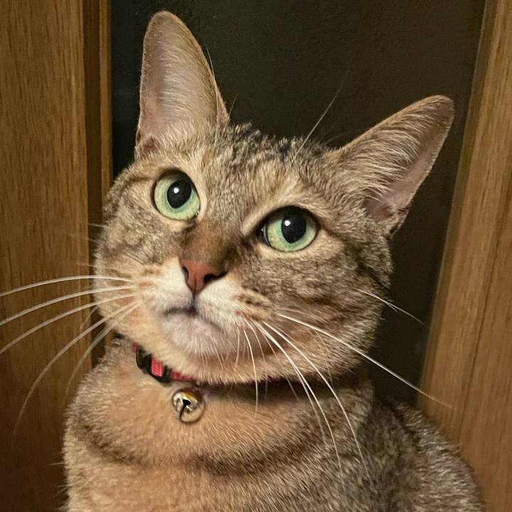 1efe1e60 ab91 401c a087 60777cef69e8 1641038965926