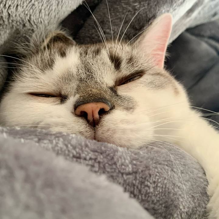 1efe2bf6 f7dd 4197 9d4c 2790849bacd3 1668829794966