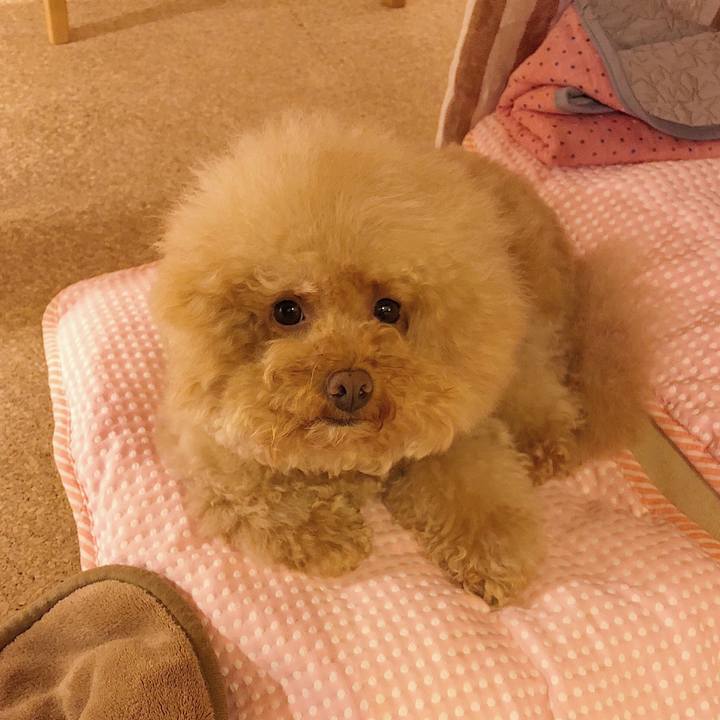 1efe7479 3e0e 4b54 b237 40a782fbb341 1531733109349