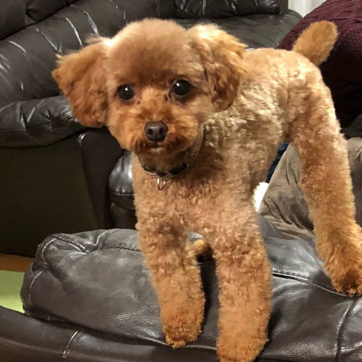 1efe8525 d475 4d6b 9c7d 4120cf60cce5 1547428370402