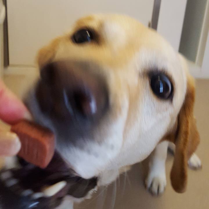 1efe9216 8b83 4b0b 87e2 e58c6134e4a2 1559174044489