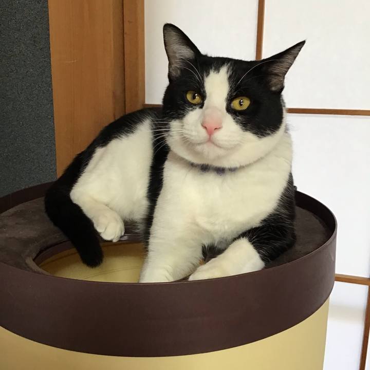 1efeaeae 0c6a 435a b1cd 073cabea6ce9 1643758231806