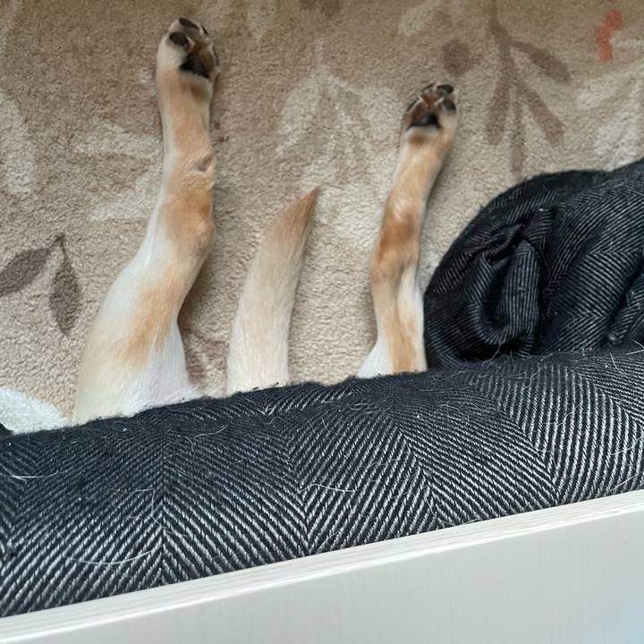 1efeb309 b305 4d7c a458 bec2f66154ec 1641341906358