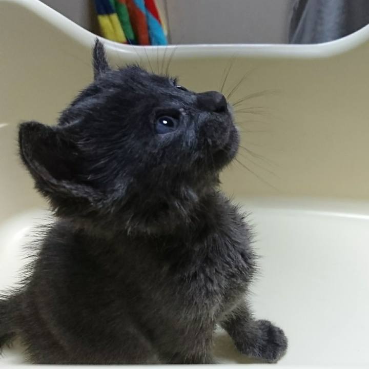 1efed9c3 f26c 4684 9c43 cb02c0248a9a 1537454276483