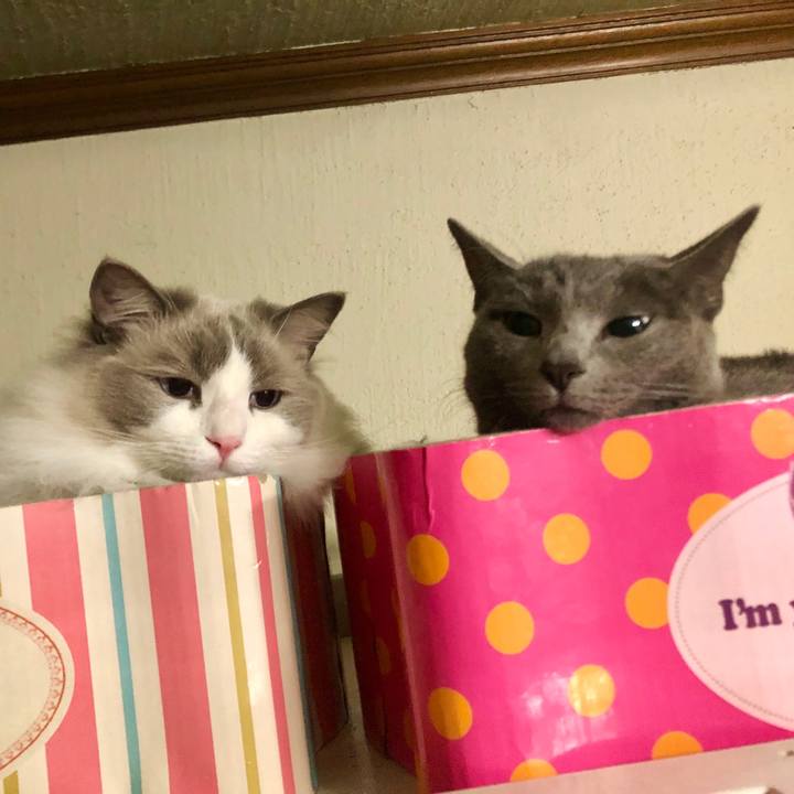 1eff3c70 09ae 40cf 9f17 c4a8229fec58 1579186705062