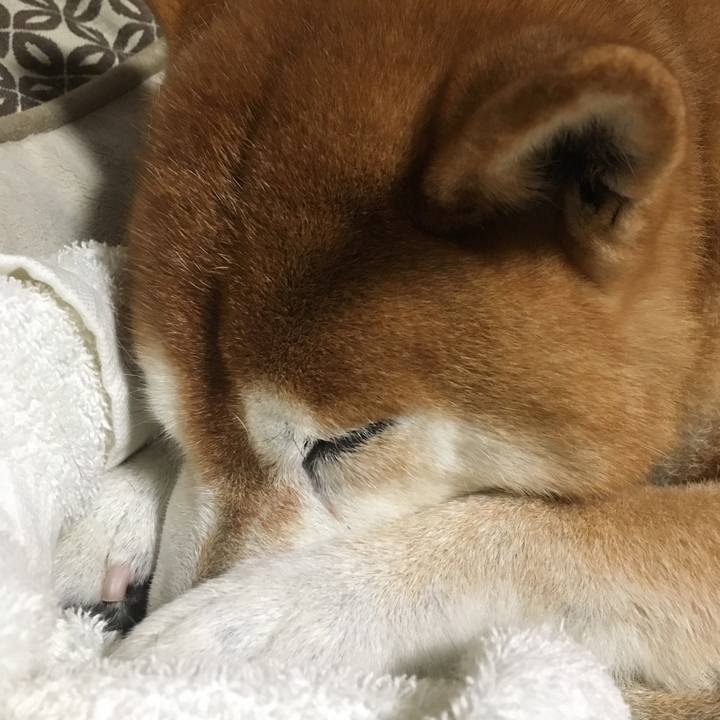 1eff5fc0 26ca 4a45 8cdd bef5f8a451a6 1509282665290