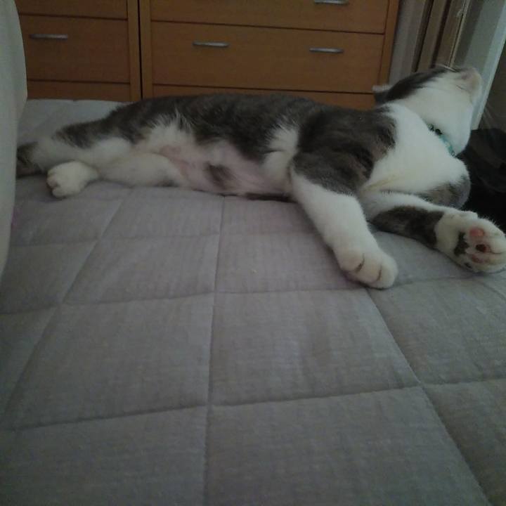 1effcc20 a970 45aa be8b 4f2aec996f62 1588293016898