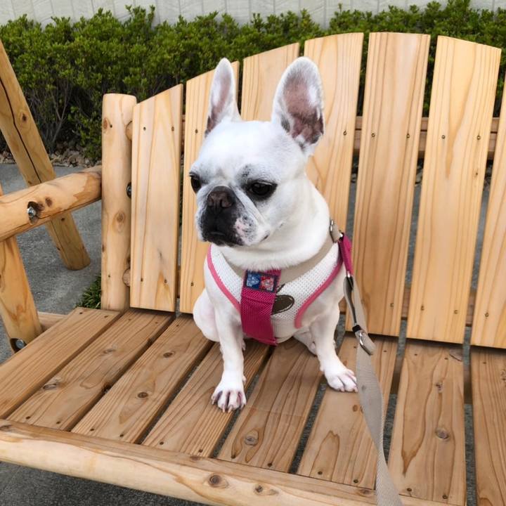 1efff568 ebde 408b ba9d d772b43ff2b3 1559364026111