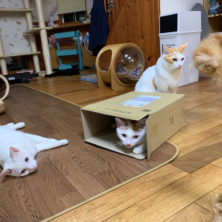 1f000e17 a586 49ff 822d ff719ff29f96 1633523416902