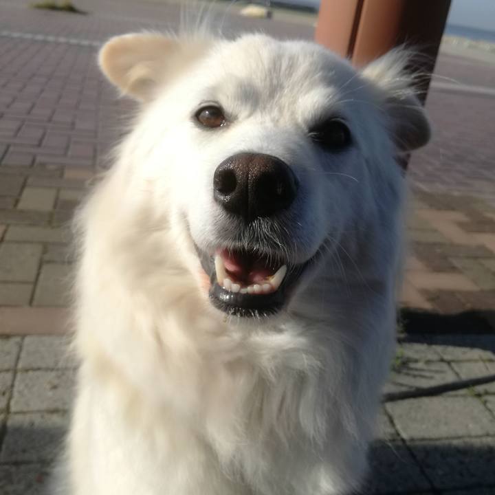 1f002de3 c9db 443b 9171 4b0de1309184 1524094487046