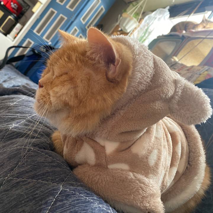 1f002e3a 5eaf 449f b154 71aa367afd69 1641429184268