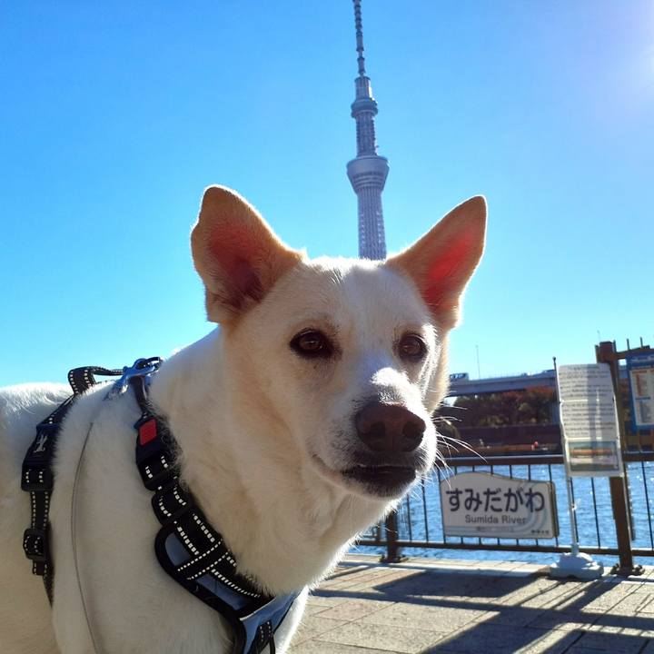 1f004fbb 0545 4f20 bcb2 bd1ab0c761fc 1636780694638