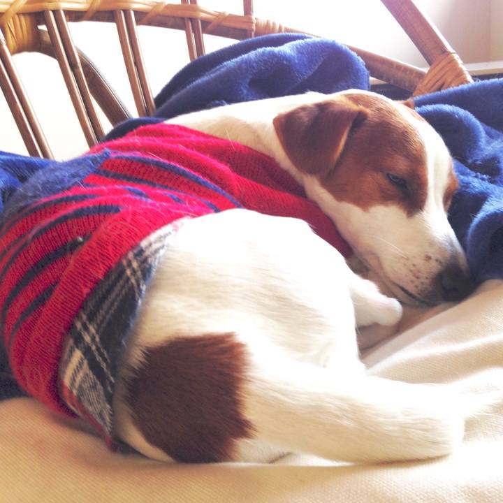 1f0068fa ffc9 45b9 abb4 9d473d090207 1515745022769