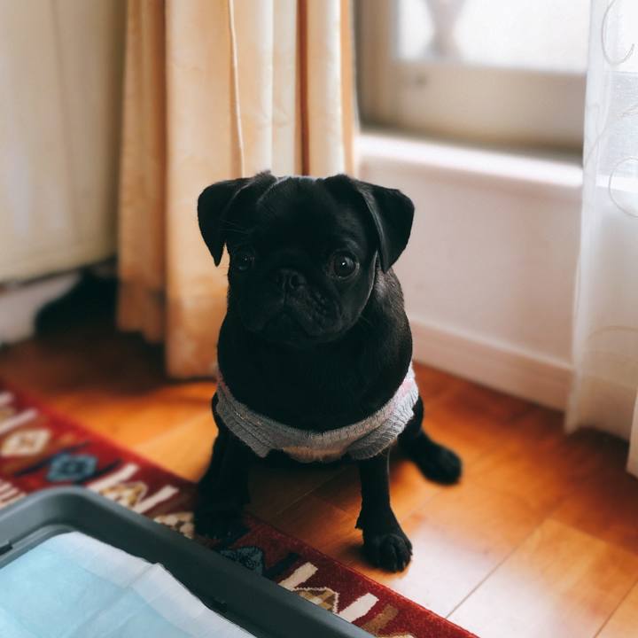 1f006c1a d566 4f07 896f 7eebb7a8b151 1603431470223