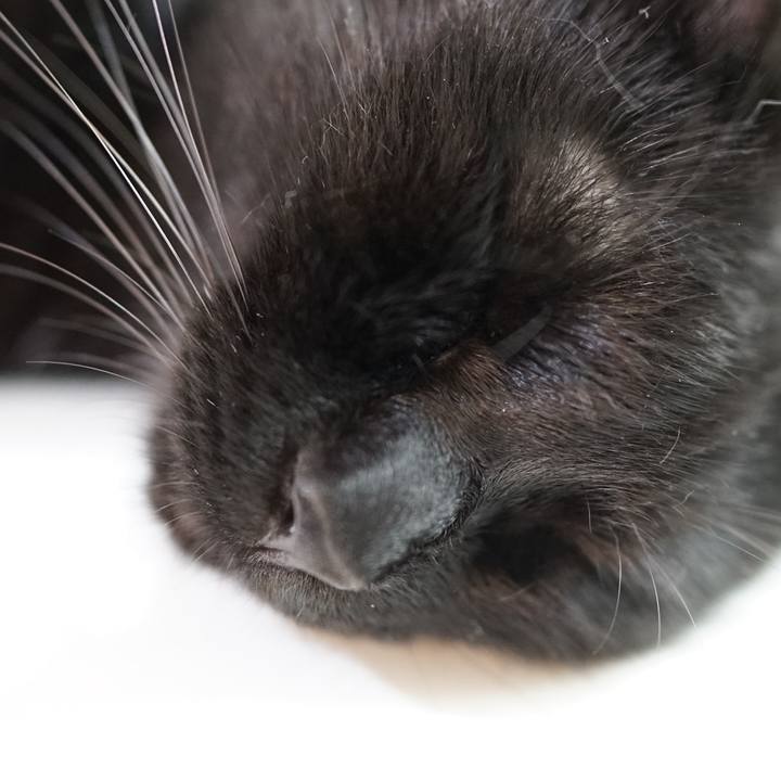 1f00e571 c093 4c9f bd34 e105c1c85894 1565442621804