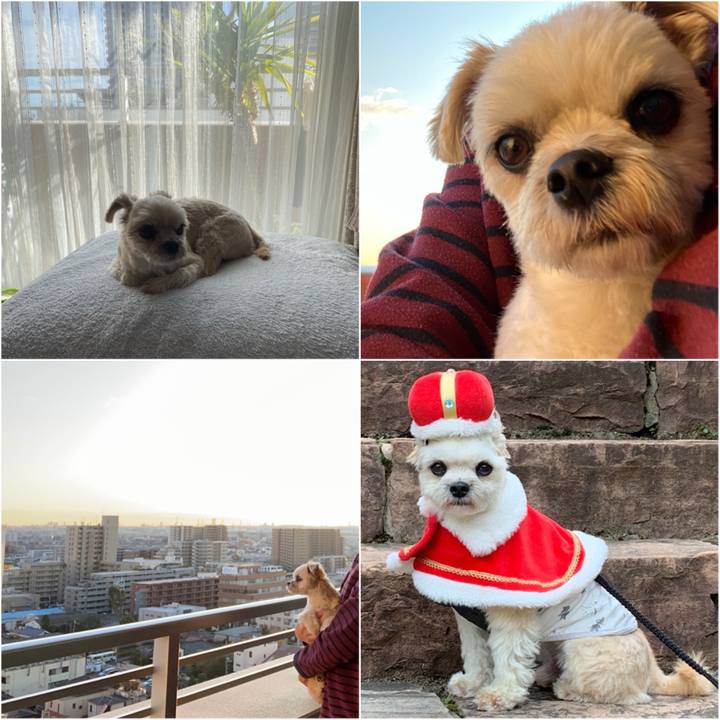 1f00ed5d 2d7d 44f5 a33e 1d724e51a4d4 1577168532609