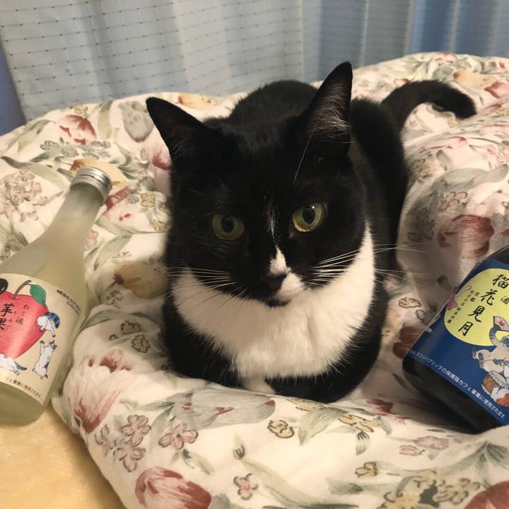 1f0107dd 6657 4ef6 a6d6 156a4834a2bf 1523309205053