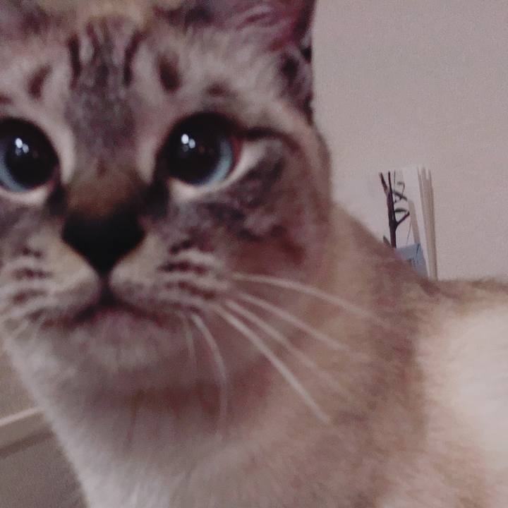 1f0125b2 d8bc 4dde 9932 af49a4bc7c32 1559027023981