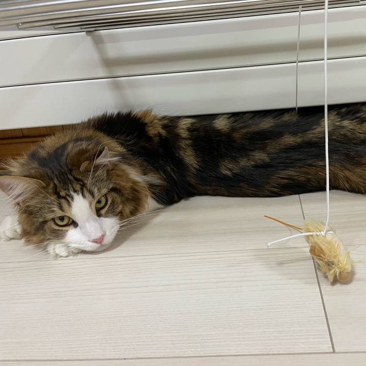 1f013c2f 8a60 4957 86bd 2d2d4b4b1b31 1651143181416