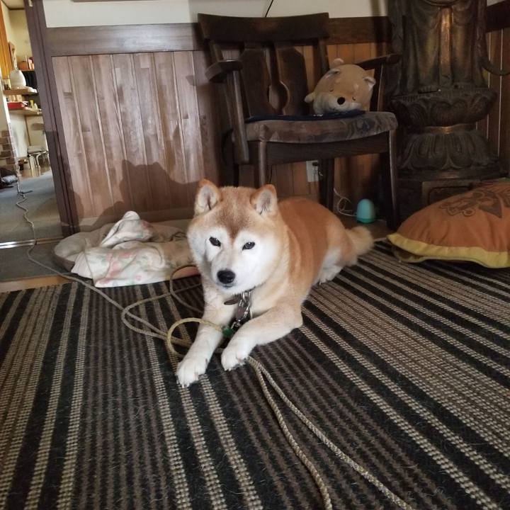 1f015136 abd4 489a b07c 799edc90191e 1693537009174