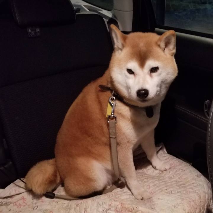 1f0156e6 4f6c 46c6 a8b8 d34538ad8708 1636877227994