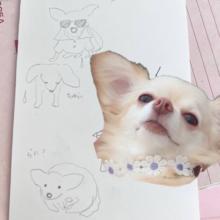 1f01732f de03 419b acce e2b8de6ac5b9 1690801216586