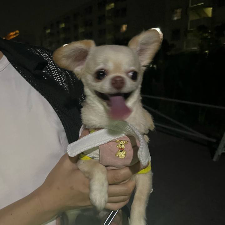 1f018b90 c4a9 4985 b4aa a3c524643d7c 1722769057396