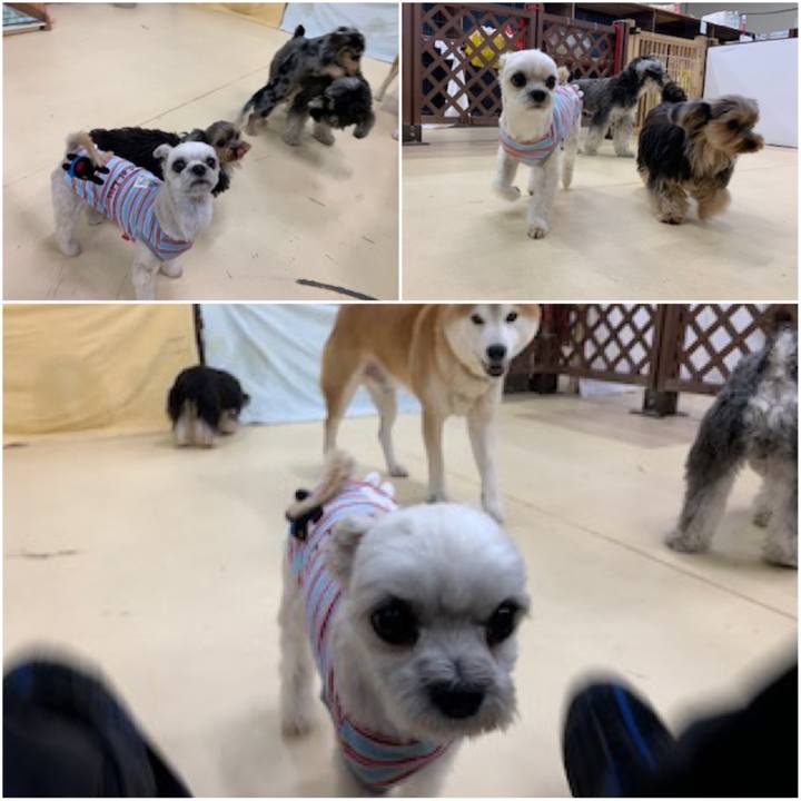 1f01965b 2cb2 4d2e 9412 e9a178e3214e 1575978059487