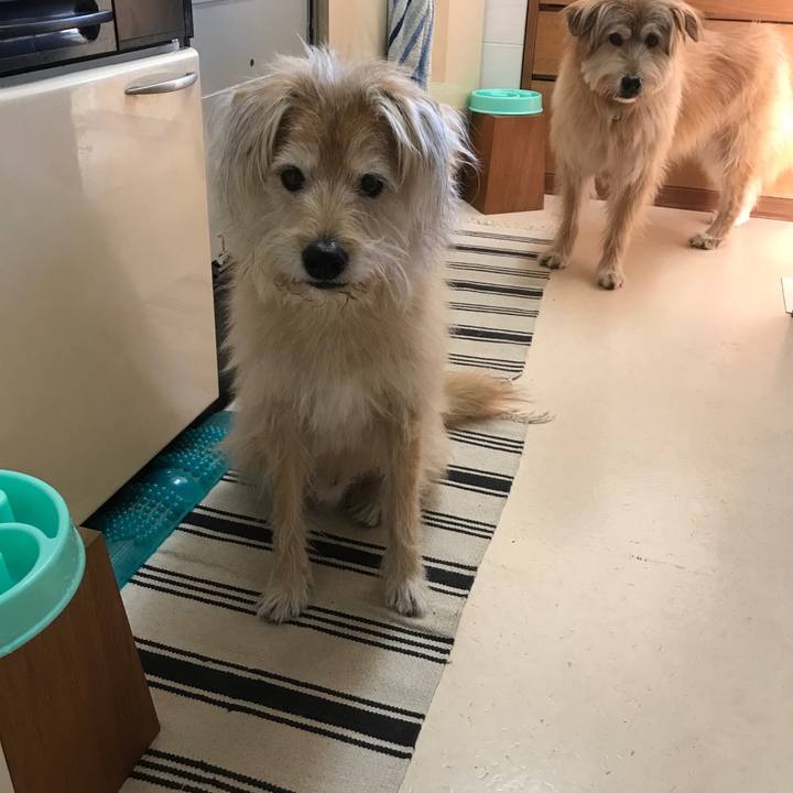 1f019e6c 1aeb 4afc 9c11 d6073d01d1c8 1546128504400