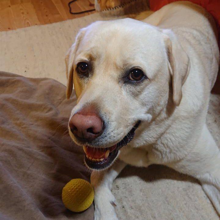 1f01ad27 2f84 44cf 9ff6 aa8ff7de0ed4 1588804553624