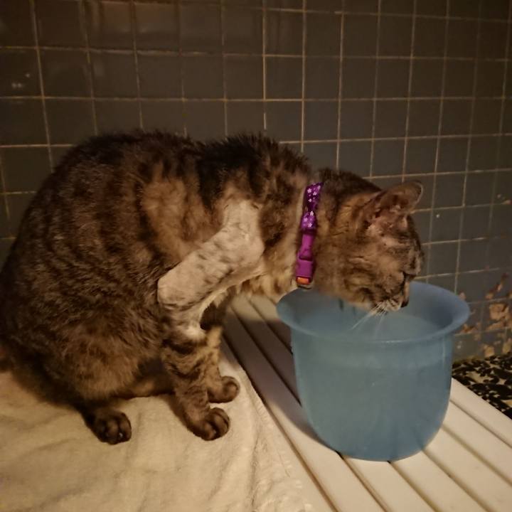 1f01c2cc 3a52 45c0 8875 7b4e8bb4715e 1590316500961