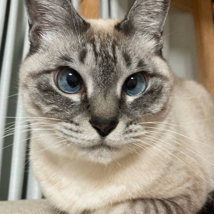 1f021c8e c3fb 4bf4 8e67 4dd7d840947d 1671261582545