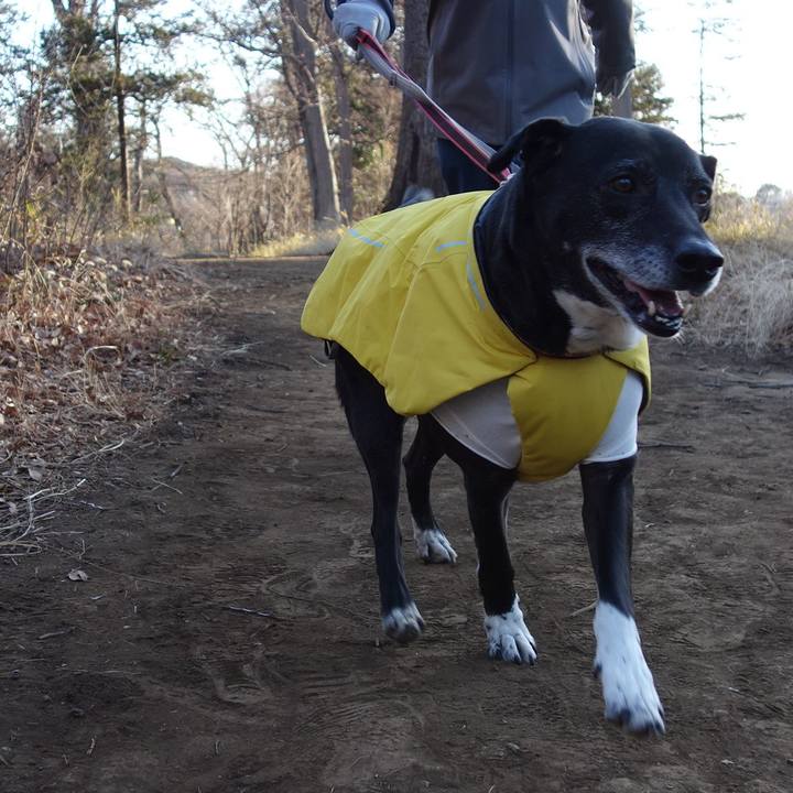 1f02235a c71b 4c58 bc21 ce1a657689fb 1740181063807