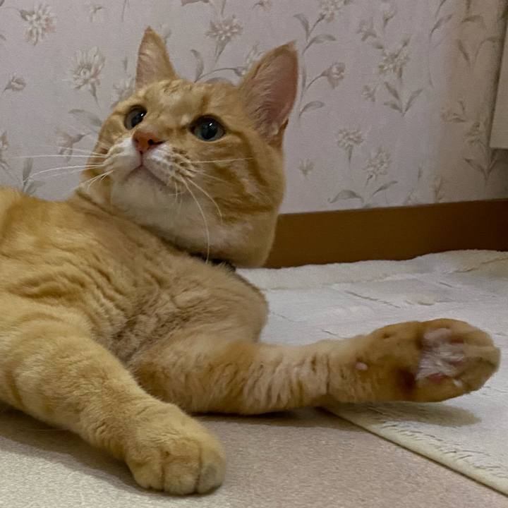 1f0228f1 f871 43b9 96d0 8e9f916d9e8d 1633497955017