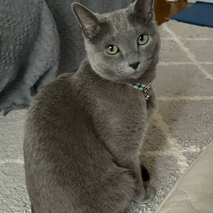 1f026b13 77dc 435b a8f8 f05b38123cc3 1716629882040