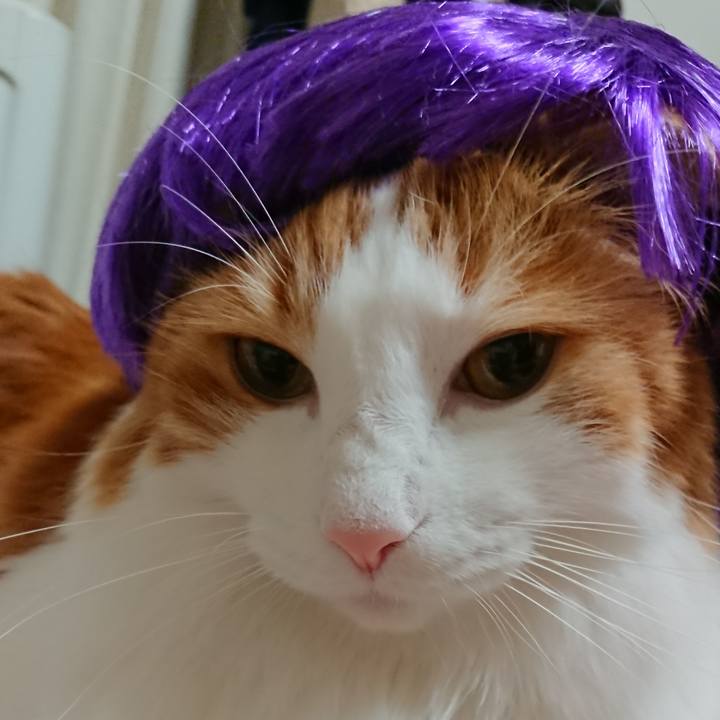 1f02749b 6e83 498c b169 0c5e4f4a0006 1537009622813