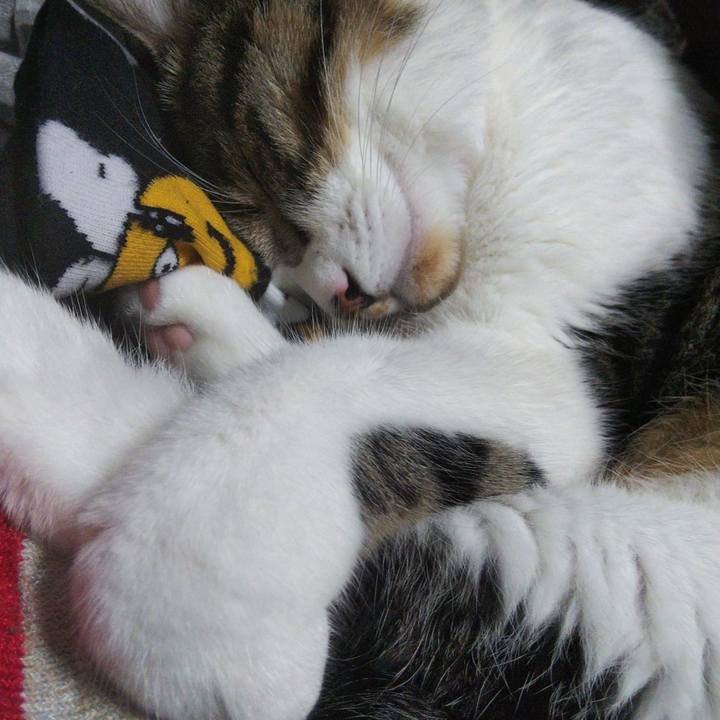 1f02c45f 9a53 4e10 ac7f 674f2b4a917d 1664072852043