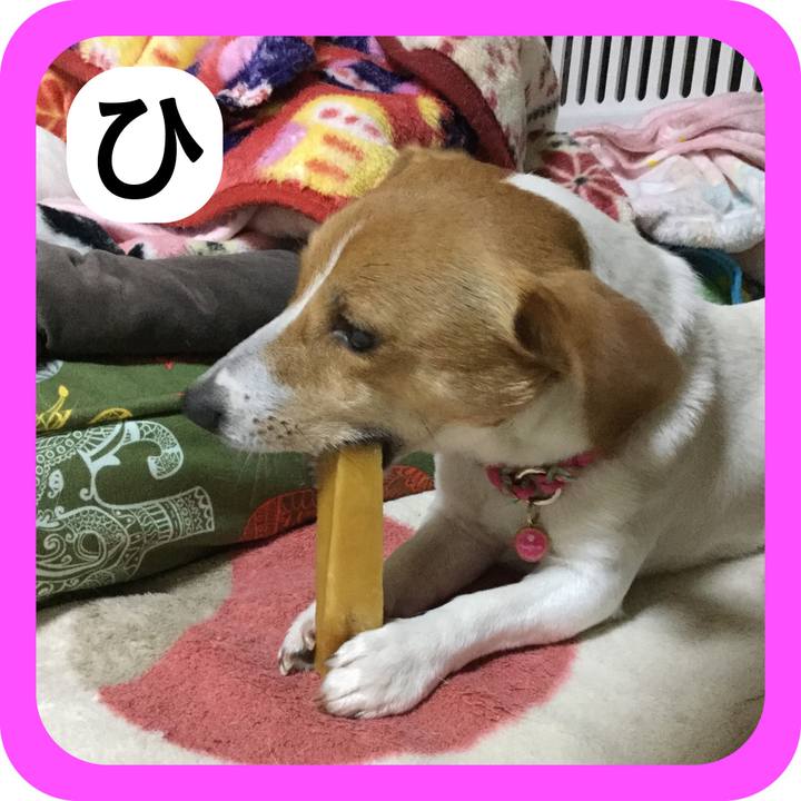 1f02cd30 0b82 43d4 954b 2419354bd1d2 1514811395925