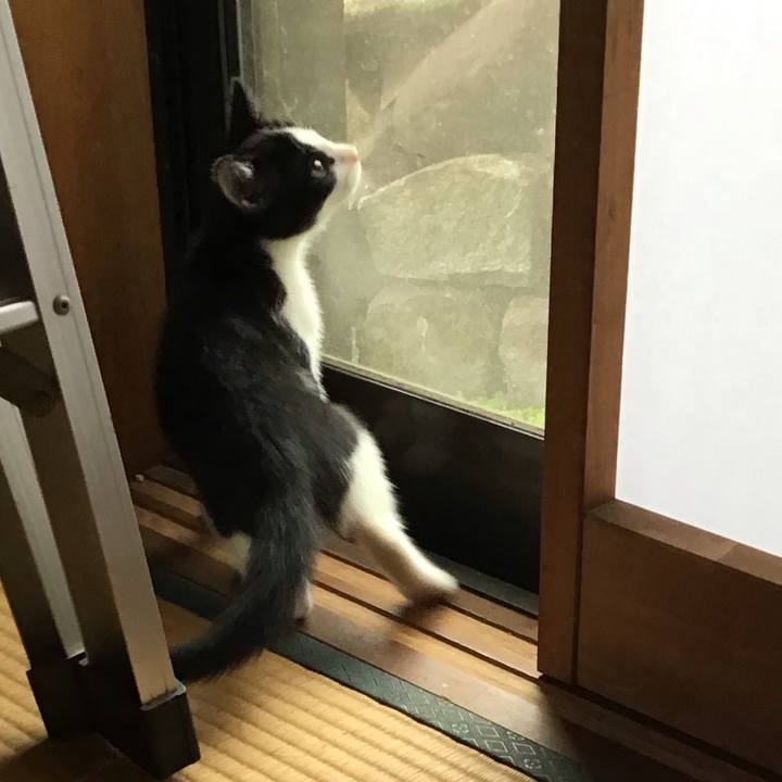 1f02def8 752d 4abf 9a4e 3a1b8bfc0c5b 1625106847275